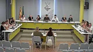 Ple Municipal 31/07/2025