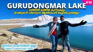 NE14 Gasped for Oxygen at 17800ft! | Gurudongmar Lake Bike Trip | Travel Vlog Malayalam