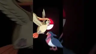 swellow vs pidgeot (base stats battle) #pokemon