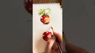 ألوان مائية للمبتدئين خطوة بخطوة ..سلسلة الطبيعة الصامتة &bull; tomato watercolor tutorial