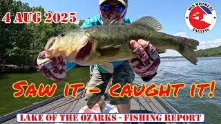 Lake of the Ozarks Bass Fishing - 4 Aug 2025 | Fishing report