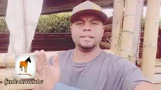 Hagamos un live , dejame saber de que te gustar&iacute;a hablar!