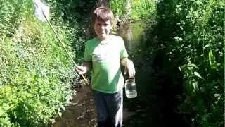 Fishing In the Brook