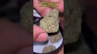 Limited Edition Karnage Box 2.0! Hand Selected Strains 😮&zwj;💨🔥 #thca #trending #gas #2018farmbill