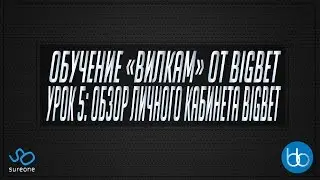 SureOne/BigBet |Урок 5 - Обзор BigBet