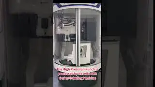 Naseiko CNC Tool Grinding Machine is processing the High Precision Punch