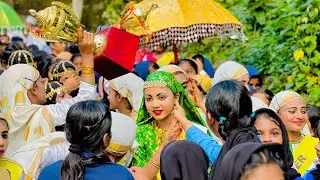 അരീക്കാട് #AMUP സ്കൂൾ #വിജയഘോഷം😱#live #livenews #malayalam #school #oppanappatt #dance