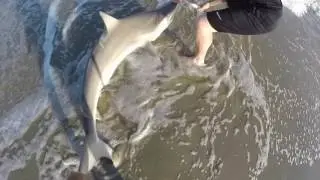 Shark Fishing The Beach