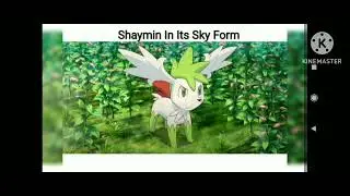 #shaymin all moves