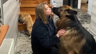 Мамка з роботи 🙂, раді всі і мамка також🫶❤️