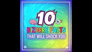 The Most Bizarre & Shocking Facts