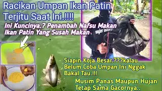 Sadis..!!! Umpan Ikan Patin Terjitu Saat Ini || Racikan Patin Susah Makan Mancing Harian Jitu