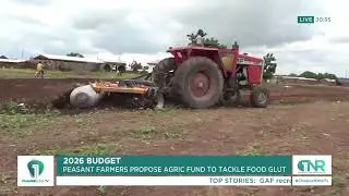 Peasant Farmers Propose Special Agric Fund in 2026 Budget to Address Food Glut