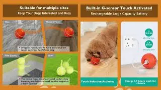PetDroid Interactive Dog Ball,2025 Newly Upgraded Durable Motion Activated Automatic Rolling