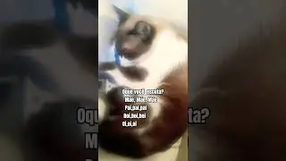 oque  voc&ecirc;  escuta? | #naofloppa #shortsviral #shorts #fypシ