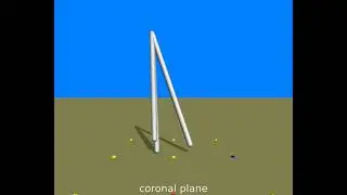 Three-dimensional bipedal model with zero-energy-cost walking