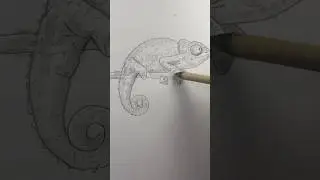Draw a chameleon 🦎 Easy drawing lesson on how to draw a chameleon. #drawinglessons