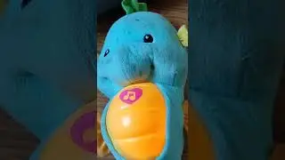 volume 3 seahorse blue