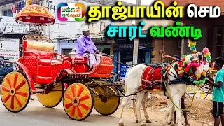 தாஜ்பாயின் காத்தியவாடி குதிரை செம சாரட் வண்டி || குதிரை வளர்ப்பு || HORSE BREEDING || குதிரை நடனம்