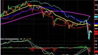 Stock Of The Day: MNST - October 25, 2012