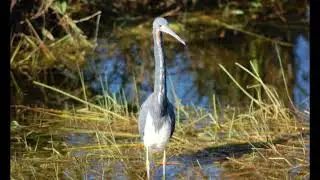 Abraham Hicks - Sign of Alignment and Trusting The Messages