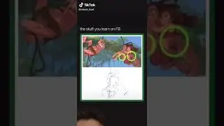 How things really work