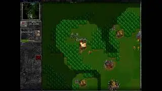 braviet vs raost game 3 warcarft 2 clip0095
