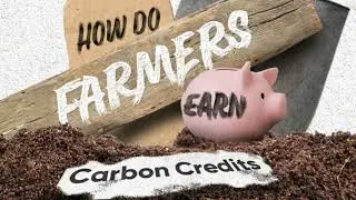 How Do Farmers Earn Carbon Credits?