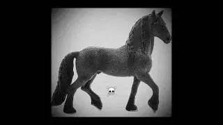 Только онли факты) #лошади #шляйх #шляйхлошади #schleich #фигуркилошадей