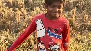 Munjee ki katai ho ghi shuru