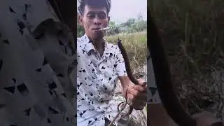 strek #macing #belut #mania #mantabsmi