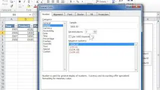 Change the Number Format - Excel 2010