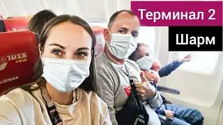 Новый терминал Шарм эль Шейх. Улетаем ❗ Проверки в аэропорту / Египет 2022