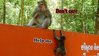 Bad mom Anna seem don&rsquo;t care about Anissa that almost down,