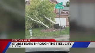 PHOTOS: Storm topples trees, sends trampoline flying in Pueblo