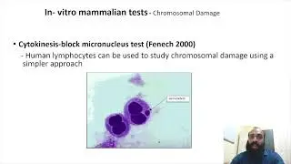 Genotoxicity and mutagenicity testing III (Part 8)