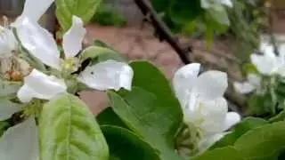 inew v3 camera test