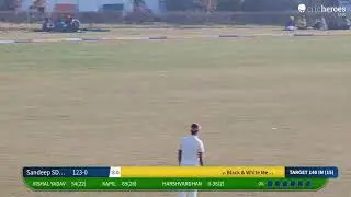 Black & White Meerut vs Sandeep SDO Rewari live cricket match | BRD CRICKET CUP 2026 live - BRD Cri