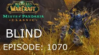 The Bazaar And Beyond | WoW Mists Of Pandaria Classic BLIND #1070