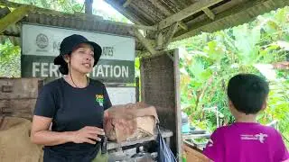 Rumah Cokelat Tabanan