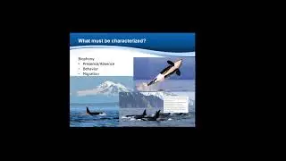 Passive acoustic monitoring technology and applications