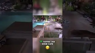 Pool Water Taste Test: Shocking Truth! #shorts