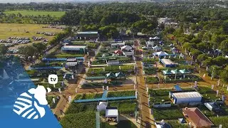 Nuevas moléculas para manejo de spodoptera frugiperda y enfermedades del suelo | Productiva TV #439