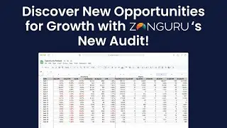 Discover New Opportunities for Growth in 2025 with ZonGuru's Growth Audit