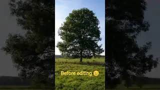editing your best photo look like this buddy 👍