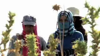 يوميات المرأة الريفية العاملة بالقطاع الفلاحي غير المنظم :المشاكل وظروف العمل