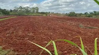 Preparing for onion planting #zimbabwe #offgridhome #countryliving #horticulture