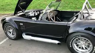 Cobra6