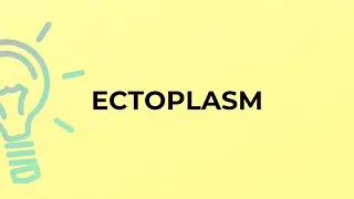 What is the meaning of the word ECTOPLASM?