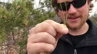 Hiking Minnow Lake (First Fast Facts Video!)